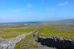 PICTURES/Innishmore - Dun Eoghanachta & Dun Aonghas Stone Forts/t_DSC04885.JPG